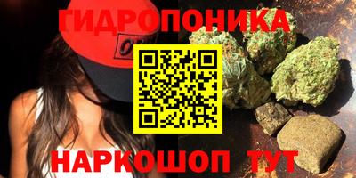 шишки Коммунар