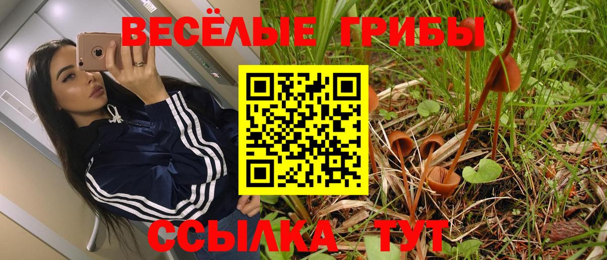 Псилоцибиновые грибы MAGIC MUSHROOMS Кирово-Чепецк